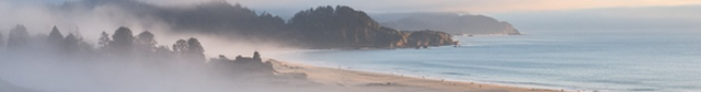 Bolinas Lagoon Coast thumbnail