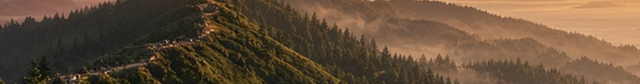 California Pines thumbnail
